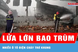 Gia Lai: Lửa lớn bao trùm khu xưởng, nhiều ô tô điện cháy trơ khung 