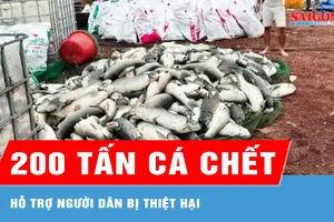 Hỗ trợ người dân bị thiệt hại do cá chết ở hồ Trị An
