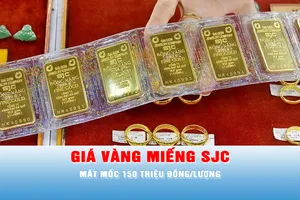 Podcast tin trưa 8-6: Giá vàng miếng SJC mất mốc 150 triệu đồng/lượng