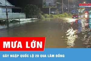 Mưa lớn gây ngập quốc lộ 20 qua Lâm Đồng