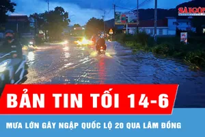 Bản tin tối 14-6: Mưa lớn gây ngập quốc lộ 20 qua Lâm Đồng