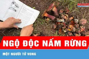 Lâm Đồng: Một người tử vong do ngộ độc nấm rừng