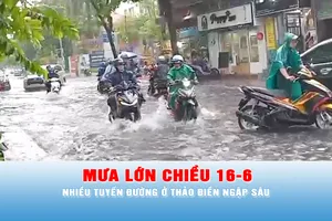 Podcast bản tin tối ngày 16-6: Mưa lớn chiều 16-6, nhiều tuyến đường ở Thảo Điền ngập sâu