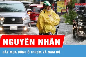 Nguyên nhân gây mưa dông ở TPHCM và Nam bộ