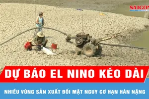 Dự báo El Nino kéo dài, nhiều vùng sản xuất đối mặt nguy cơ hạn hán nặng 