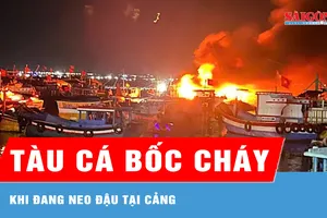Khánh Hòa: Dập tắt đám cháy trên tàu cá đang neo đậu tại cảng