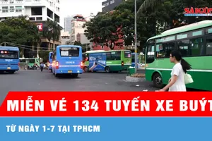 Từ ngày 1-7: TPHCM miễn vé 134 tuyến xe buýt 