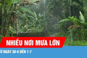 Nhiều nơi mưa lớn từ ngày 30-6 đến 1-7 