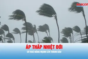 Podcast tin chiều ngày 1-7: Áp thấp nhiệt đới có khả năng mạnh lên thành bão