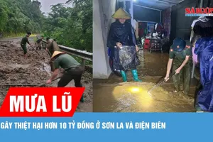 Mưa lũ ở Sơn La và Điện Biên gây thiệt hại hơn 10 tỷ đồng 