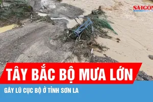 Tây Bắc bộ mưa lớn, gây lũ cục bộ ở tỉnh Sơn La