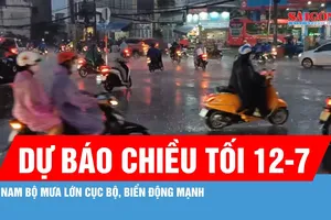Dự báo chiều tối 12-7, Nam bộ mưa lớn cục bộ, biển động mạnh 