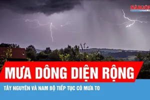 Nam bộ và Tây Nguyên tiếp tục mưa dông diện rộng