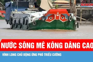 Nước sông Mê Kông dâng cao, Vĩnh Long chủ động ứng phó triều cường 