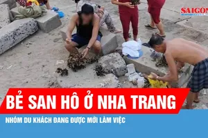  Khánh Hòa: Đã xác định nhóm du khách bẻ san hô ở vịnh Nha Trang 