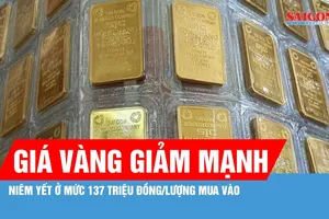 Sáng 23-7: Giá vàng giảm mạnh