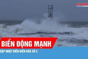 Bão số 2 gây biển động mạnh, sóng biển cao 2-4m
