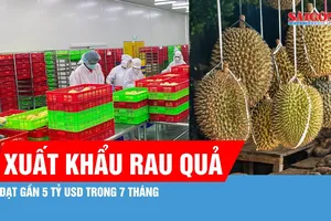 Xuất khẩu rau quả đạt gần 5 tỷ USD trong 7 tháng