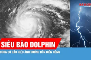 Siêu bão Dolphin chưa có dấu hiệu ảnh hưởng đến Biển Đông 