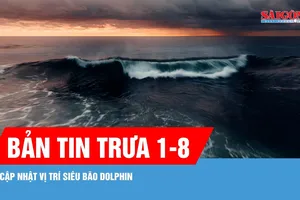 Bản tin trưa 1-8: Cập nhật vị trí siêu bão Dolphin