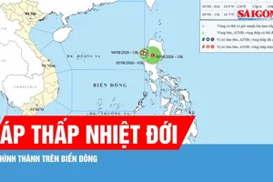 Áp thấp nhiệt đới xuất hiện trên Biển Đông: Cảnh báo gió giật cấp 8, biển động