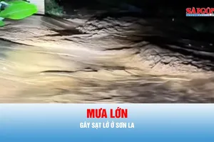 Podcast tin trưa 6-8: Mưa lớn gây sạt lở ở Sơn La, một ô tô bị vùi lấp đến ngang cửa