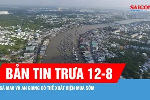 Bản tin trưa 12-8: Nam bộ có thể mưa to từ ngày 14 đến 15-8