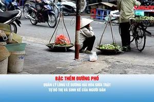 Nhịp cầu cử tri: BẬC THỀM ĐƯỜNG PHỐ