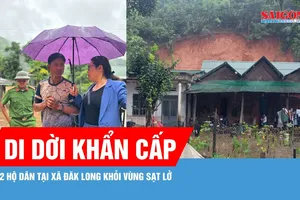 Quảng Ngãi khẩn cấp di dời 2 hộ dân khỏi vùng sạt lở 