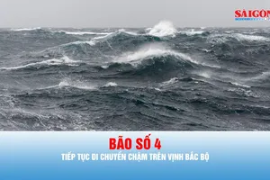 Podcast bản tin trưa 22-8: Ảnh hưởng bão số 4, biển động mạnh, sóng biển cao đến 4m