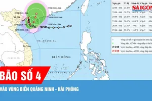 Bão số 4 đã vào vùng biển Quảng Ninh - Hải Phòng, dự báo có nơi mưa trên 600mm 