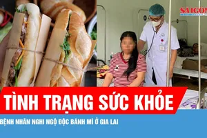 Vụ nhiều người nhập viện sau ăn bánh mì ở Gia Lai: Đã có 168 bệnh nhân ra viện 