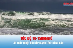 Podcast bản tin trưa 31-8: Dự báo áp thấp nhiệt đới mạnh lên thành bão cấp 8