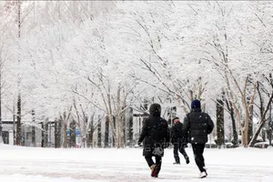 Yonhap: Tuyết phủ trắng trời Seoul, Hàn Quốc