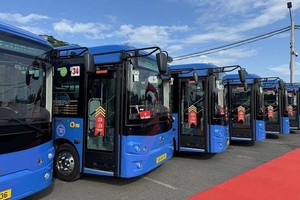 各条电动巴士线从8月1日起投入运营。 