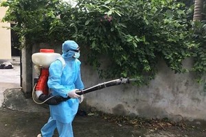 基孔肯雅热症状在蚊子叮咬后4至8天出现