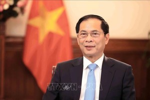 政府副总理、外交部长裴青山