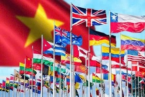 越南与主动积极融入精神。