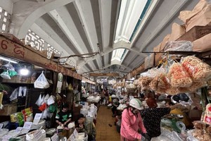胡志明市将清拆、转换低效运营街市