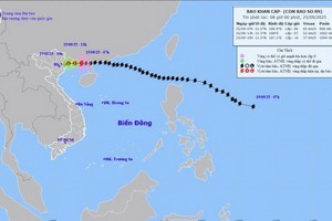 9号台风减弱为热带低气压。