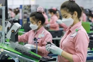 北宁省加工业吸引大量外企投资。