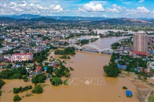 11号台风引发的洪涝灾害给越南造成经济损失逾5万4500亿元