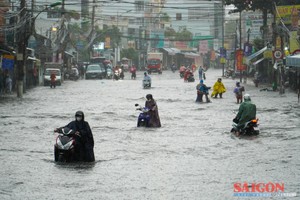 芽庄多条街道大雨后严重受淹 