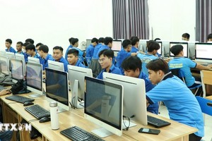 低生育率与人力资源质量备受关注