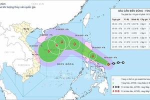 台风活动路径。