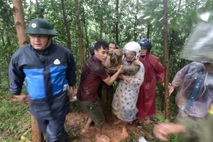 岘港市及时救出被泥土掩埋司机