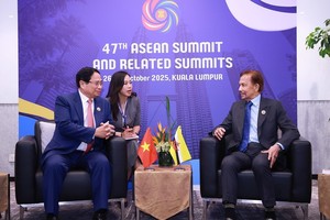 范明政总理会见文莱苏丹哈吉·哈桑纳尔·博尔基亚。（图自越通社）