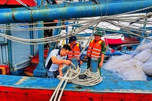 与沿海各乡配合统计、盘点并呼吁船只进入锚地停泊、躲避台风。 