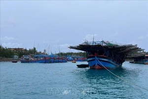 长沙群岛各岛屿上的后勤-技术服务中心安排确保渔船在13号台风期间安全。