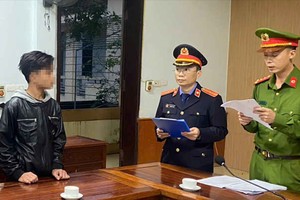 职能机关对L.V.Ph.作出嫌犯案件起诉《决定》。 